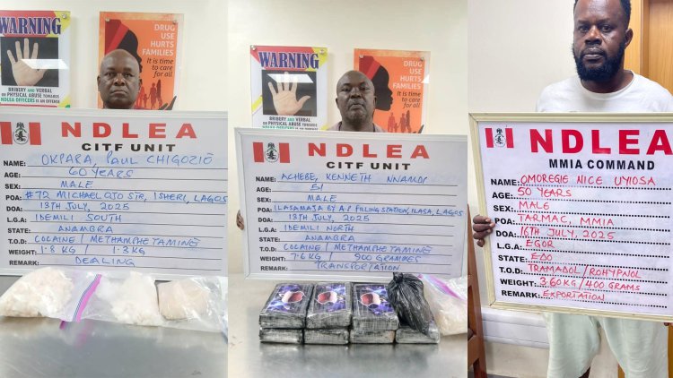 NDLEA arrests wanted drug kingpin after 7 years, seizes 101,150kg of illicit drugs in 13 states 
