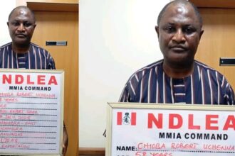 NDLEA Nabs Man With 7,790 Tramadol, Rohypnol Pills at Lagos Airport