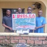 ‎NDLEA Nabs Wanted Drug Kingpin After 7 Years, Destroys 101,150kg Skunk, others in Osun