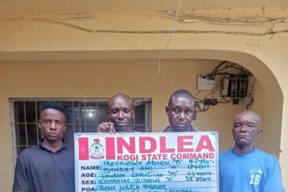 ‎NDLEA Nabs Wanted Drug Kingpin After 7 Years, Destroys 101,150kg Skunk, others in Osun