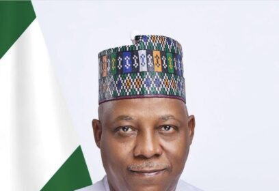 Nigeria4H2 project to unlock vast, untapped green hydrogen potential – Shettima
