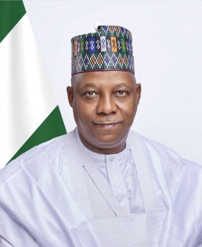 Nigeria4H2 project to unlock vast, untapped green hydrogen potential – Shettima