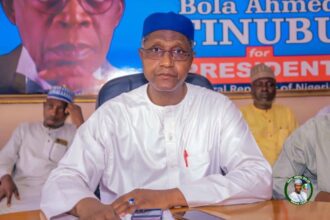Northern Senators to Tinubu: Good Effort on Security, But Gaps Remain