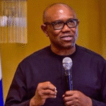 “Peter Obi under PDP will defeat any Northern candidate in 2027,” – Jerry Gana