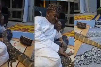 Python, other wild animals found in home of ex-AGF, Ahmed Idris