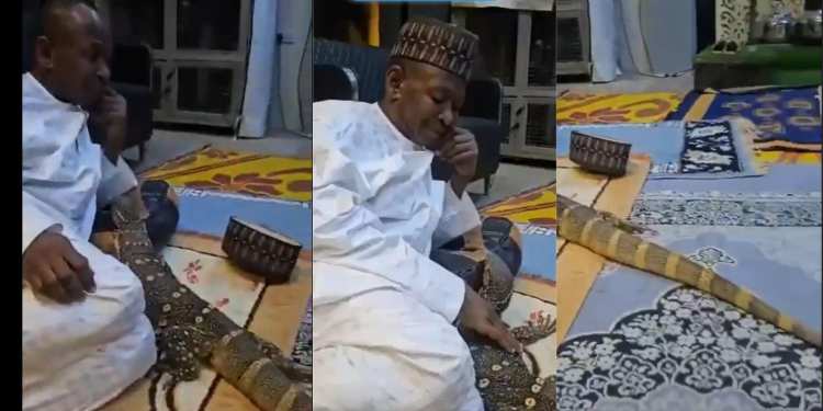Python, other wild animals found in home of ex-AGF, Ahmed Idris