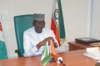 Reps Committee probes alleged desertion of Nigerian miners in CAR