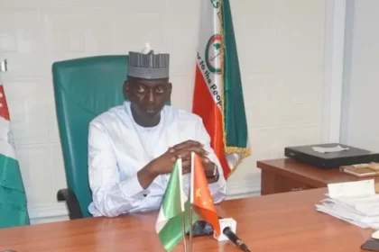 Reps Committee probes alleged desertion of Nigerian miners in CAR