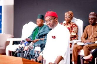 Reps Deputy Speaker withdraws controversial indigeneship bill
