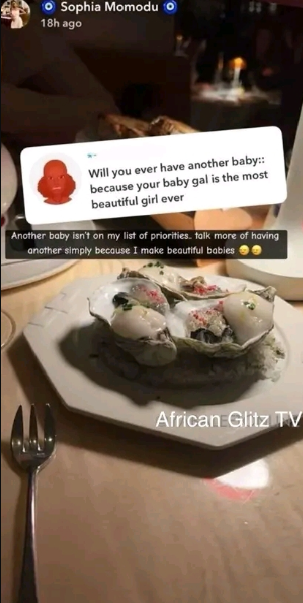 Sophia Momodu Says Having Another Baby Isn’t on Her List of Priorities