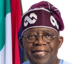Special FEC: Tinubu renames UNIMAID after late former President Muhammadu Buhari
