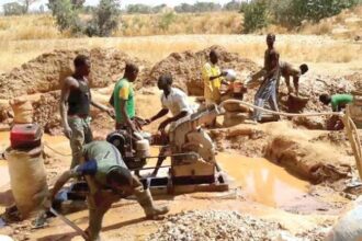 Tackling illegal mining key to increased revenue— NGO