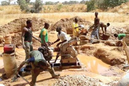 Tackling illegal mining key to increased revenue— NGO