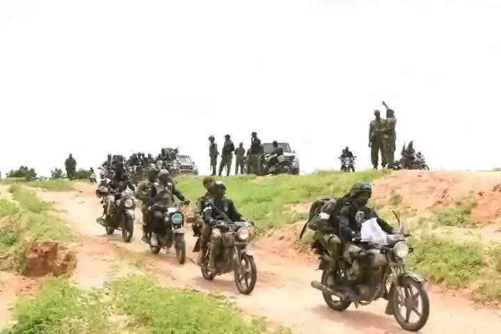 Troops kill bandits, foil terrorist attack in Niger