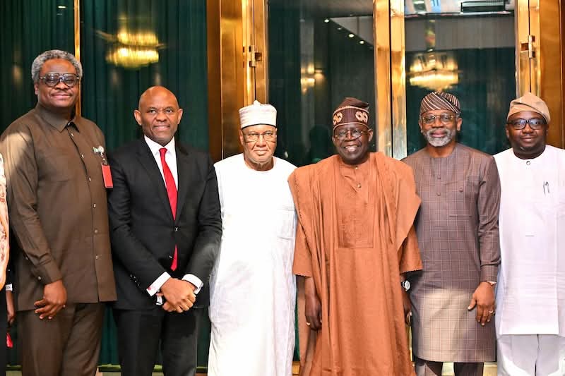 We Need Time to Validate ₦4trn Power Sector Debt, Says Tinubu