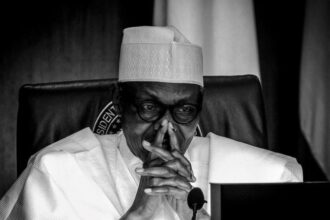 Why Nigerians must forgive late former president Buhari – Ex-NAFDAC boss