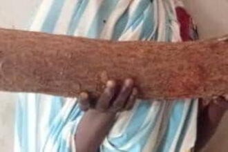 Woman K!lls Husband with Wooden Log During Heated Argument Over Food