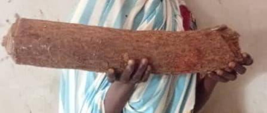 Woman K!lls Husband with Wooden Log During Heated Argument Over Food