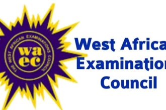2025 WAEC: How to Check WASSCE Results [Step-by-Step]