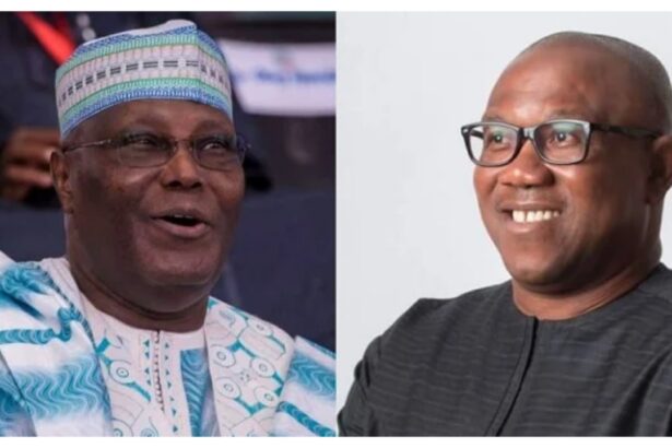 2027: Atiku had 6.98m votes, Peter Obi 6.1m, together they can remove Tinubu – Olarewaju