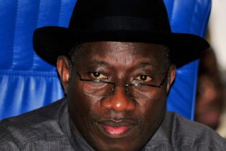 2027: Northern Elites Are Pushing Jonathan To Contest - Dumebi Kachikwu Says