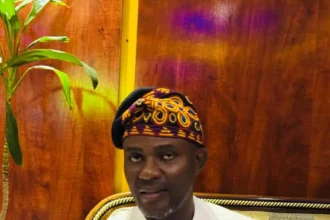 2027: PDP zoning arrangement game changer — Party chieftain, Adeoye