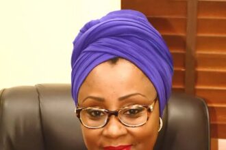 A Great Percentage of Nigerian Americans Making Us Proud Abroad Are Igbos - Hadiza, Wife of Former Gov, Nasir El-Rufai