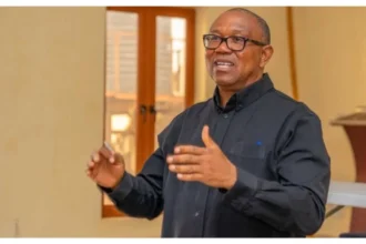 ‘Act of greed, insensitivity’ – Peter Obi on pay rise for politicians