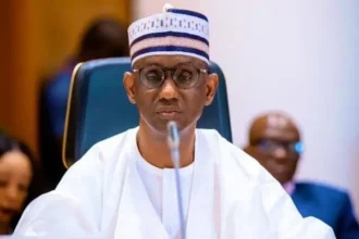 Ansaru terrorist linked to Al-Qaeda, Baraa has been arrested – NSA Ribadu