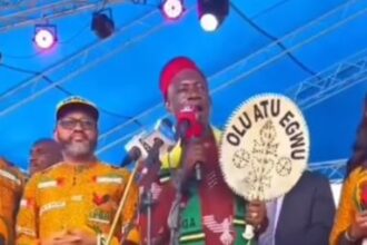 Any Politician Promising Single Term Needs Psychiatric Test – Governor Soludo Claims (Video)