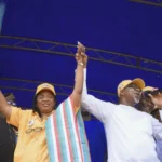 APC’s Elegbeji wins Ogun bye-election with 41,237 votes