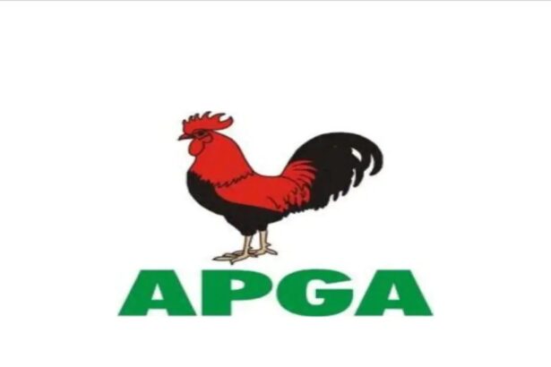 APGA’s Nwachukwu, Ikpeazu-Azikiwe win Anambra South Senate, Onitsha North 1 elections