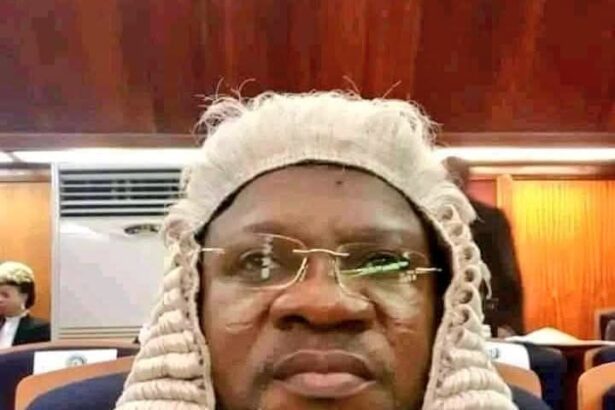 Appeal Court judgment reinstating APC chairmen sacrosanct — Osun APC chieftain tackles NBA
