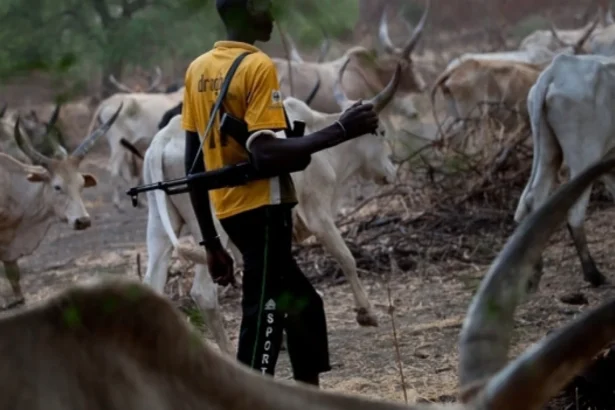 Armed herders kill mother, son, two others in fresh Benue attack