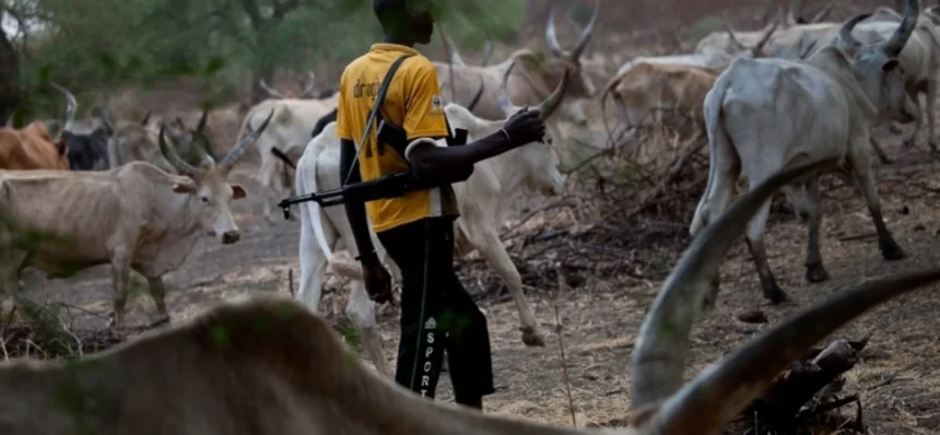 Armed herders kill mother, son, two others in fresh Benue attack