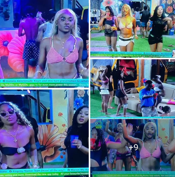 BBNaija S10 August 14 update: Transgender slur, verbal wars, wet party, shocking disclosures, teary grievances