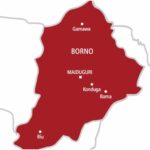 Borno doctors reattach man’s genitals after suicide attempt over divorced wife 
