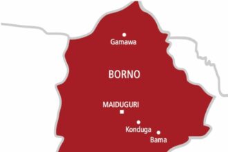Borno doctors reattach man’s genitals after suicide attempt over divorced wife 