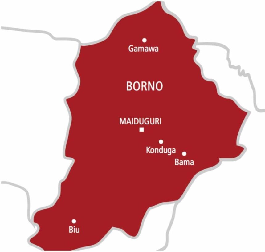Borno doctors reattach man’s genitals after suicide attempt over divorced wife 