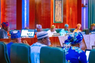BREAKING: FEC Imposes 7-Year Ban On Establishment Of New Federal Tertiary Institutions