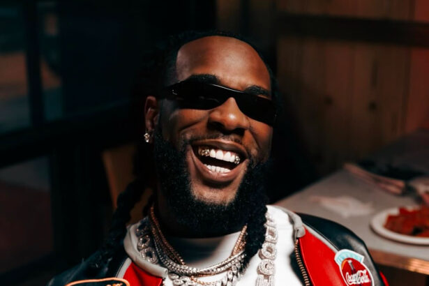 Burna Boy sets new record, becomes African artist with most hot 100 entries