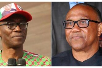 By-election: Peter Obi now ‘Uber’ politician -Julius Abure