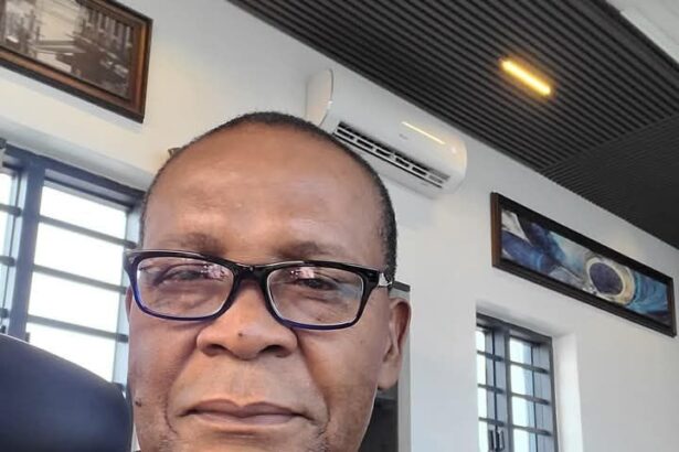 Calling Tinubu criminal insult to 250m Nigerians – Joe Igbokwe