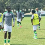 CHAN 2024: Manyo, Ozoemena to miss Home Eagles vs Congo