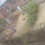 Church Ritual: Police Arrest Pastor Seen Flogging Children In Viral Video