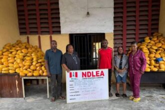 Court Sentences Husband And Wife to 22 Years Imprisonment For Drug Trafficking