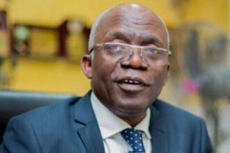 Criminals, Touts Now In Charge Of Politics In Nigeria — Falana