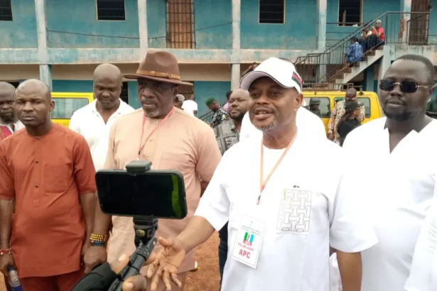 Enugu South re-run: Tinubu’s Minister, Nnaji defended democracy – APC