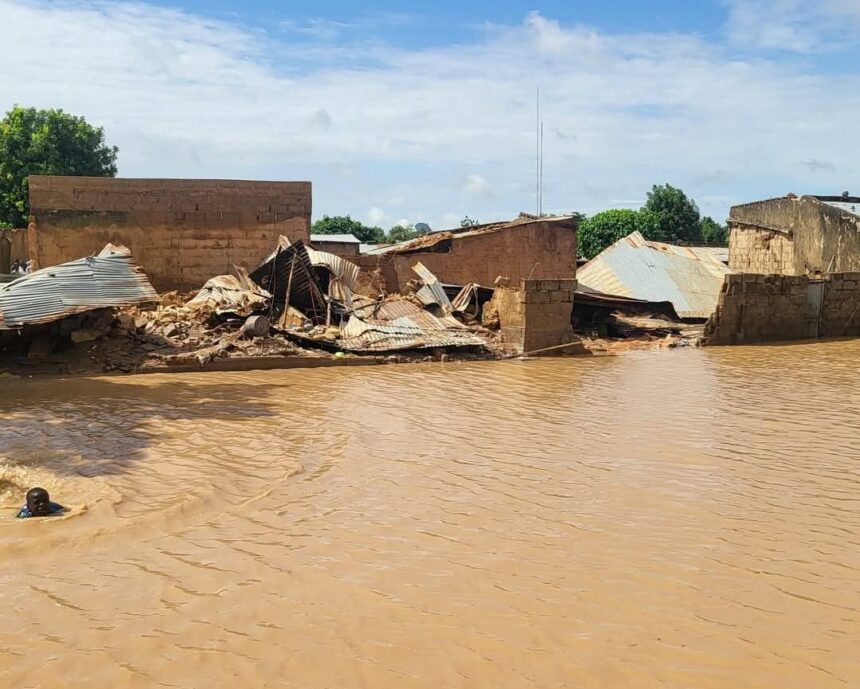 Flood sacks hundreds, submerges residential areas in Yobe [Photos]