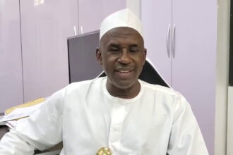 Focus on real issues, stop passing nonsensical laws – Mahdi Shehu tells National Assembly